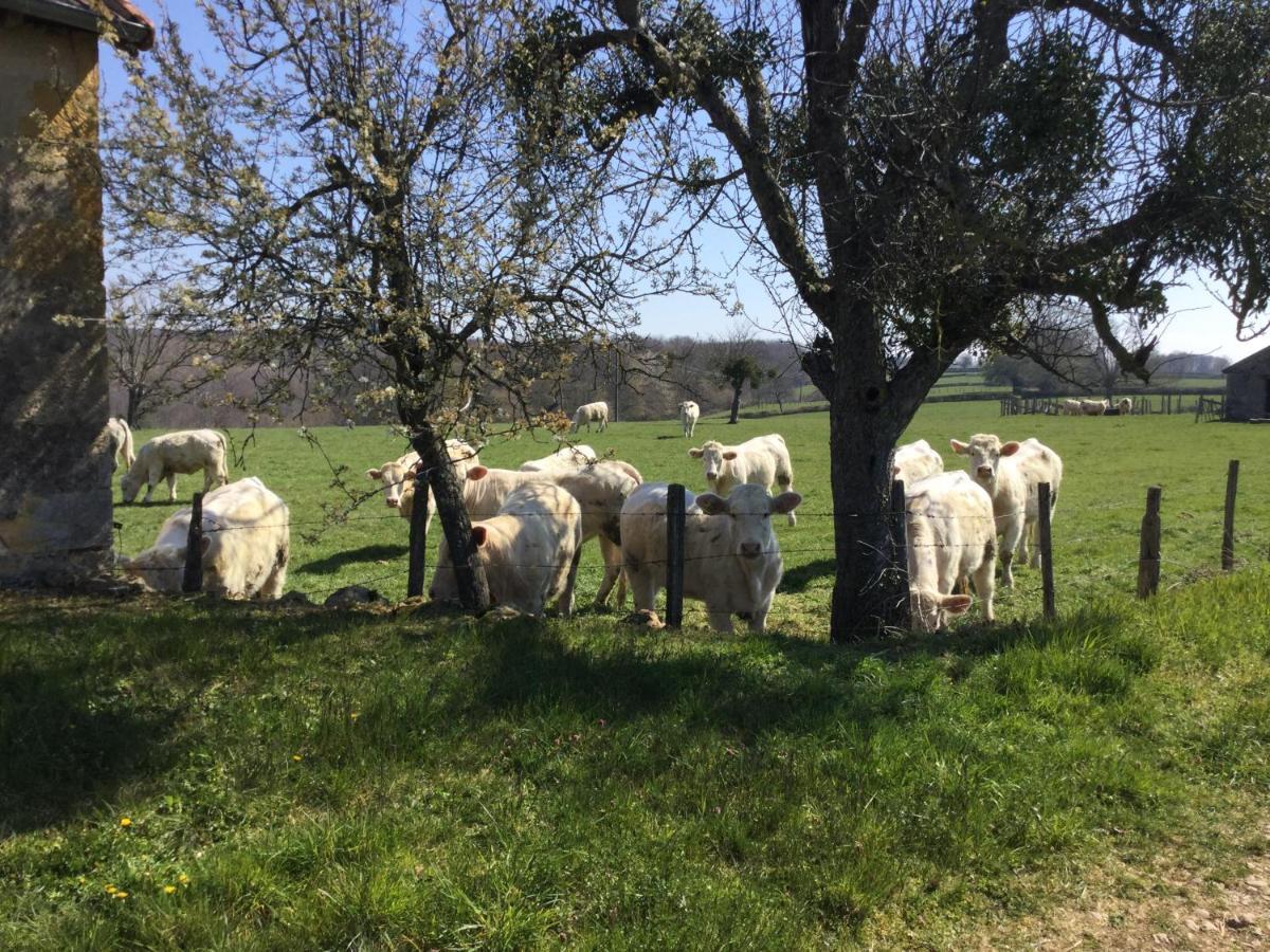Gite De Belle Vue Semur-en-Brionnais Dış mekan fotoğraf
