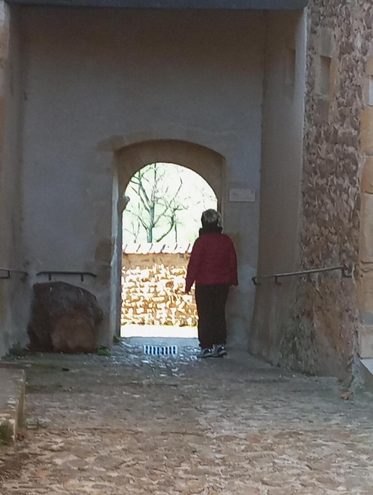 Gite De Belle Vue Semur-en-Brionnais Dış mekan fotoğraf
